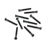 CAPRICORN LAB CAP-17140 SCREW 3x25 ROUND HEAD (10 PCS) (17140)