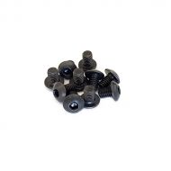 CAPRICORN LAB CAP-18021 ROUND HEAD SCREW 3x4 (10 PCS)