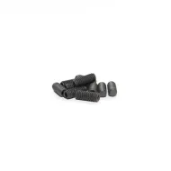 CAPRICORN LAB CAP-2018 SCREW SET M4X10 (10pcs) (2018)