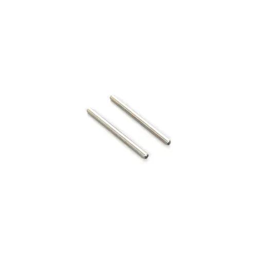 CAPRICORN LAB CAP-23040 TE04 PIVOT PIN INNER SHORT (2PCS) (23040)