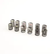 CAPRICORN LAB CAP-2496 SPRING SET FOR 1/8 (2496)