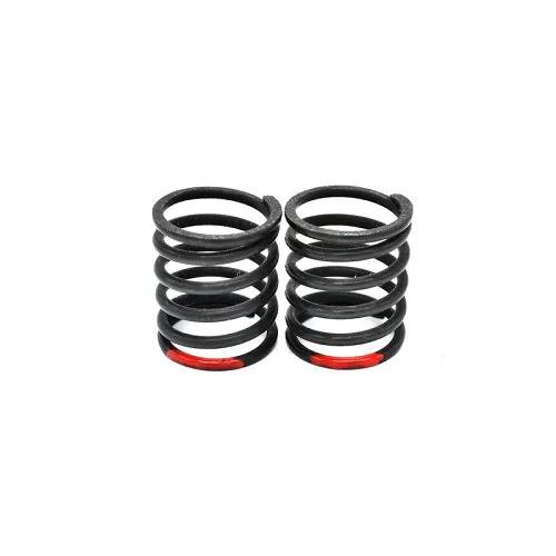 CAPRICORN LAB CAP-29167 SHOCK SPRINGS BIG BORE 0.54Kg RED ( 2pcs ) (29167)