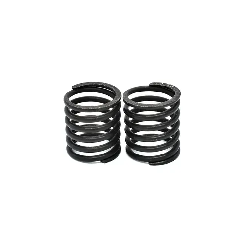 CAPRICORN LAB CAP-29168 SHOCK SPRINGS BIG BORE 0.25Kg BLACK ( 2pcs ) (29168)