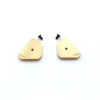 CAPRICORN LAB CAP-29329 TE 04 FRONT WEIGHT 10g (29329)