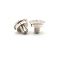 CAPRICORN LAB CAP-29425 LAB TE06 UPDECK SPECIAL SCREW (29425)