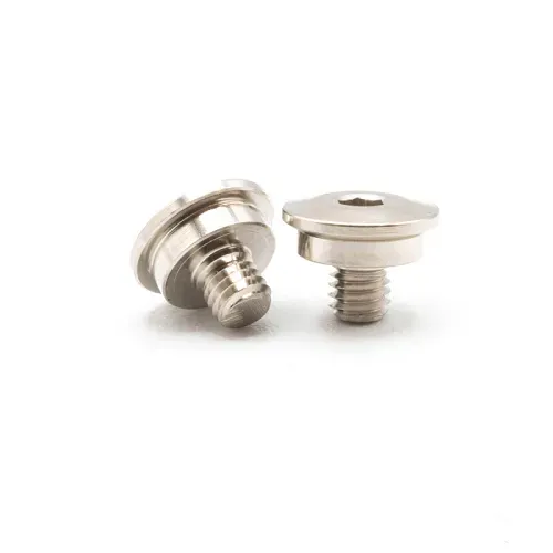 CAPRICORN LAB CAP-29425 LAB TE06 UPDECK SPECIAL SCREW (29425)
