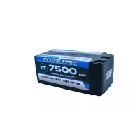 CT10021