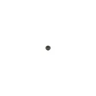 CAPRICORN LAB R802230 PINION GEAR 22T - 0,8 MODULE (R802230)
