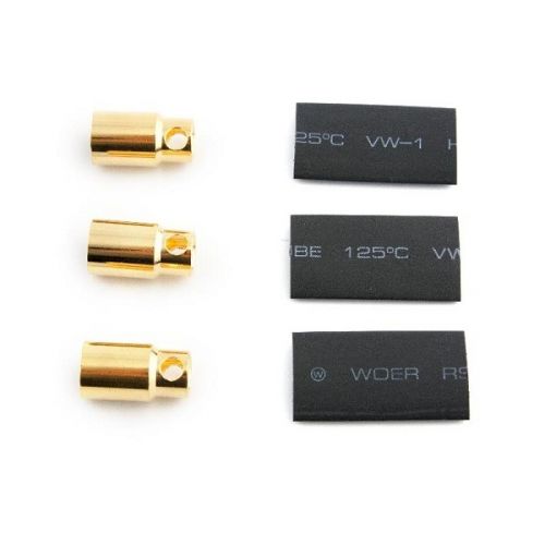 ORI40019